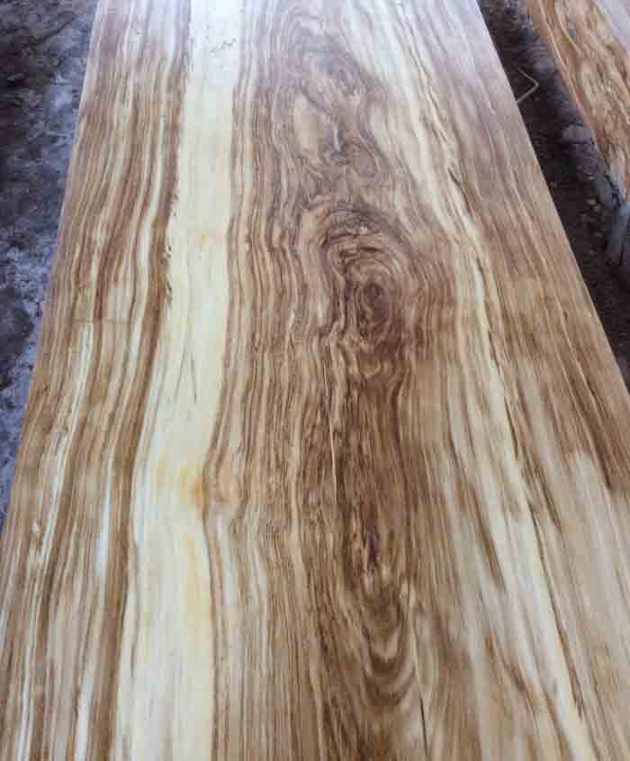 Bàn ghế gỗ hương xám có tốt không