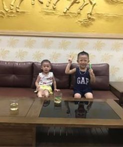 sofa Sóc Sơn