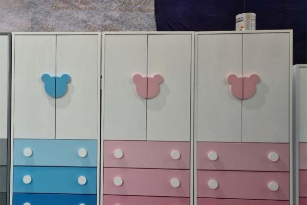 Tủ quần áo trẻ em 2 cánh 3 ngăn kéo TTE02