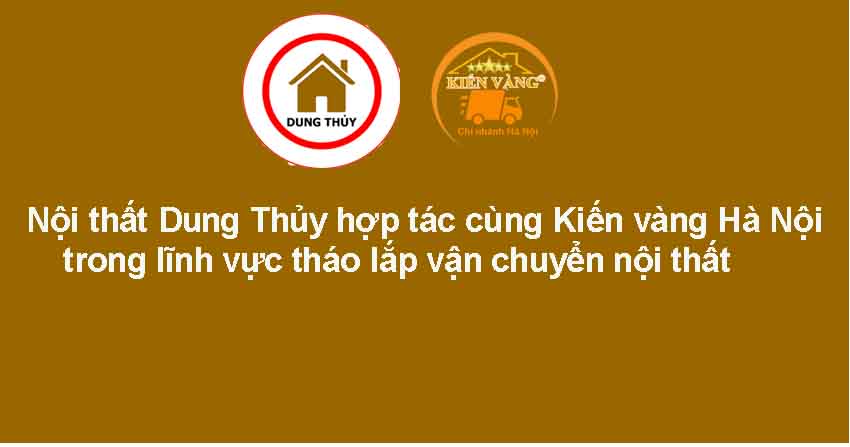 Nội thất Dung Thủy hợp tác cùng Kiến vàng Hà Nội