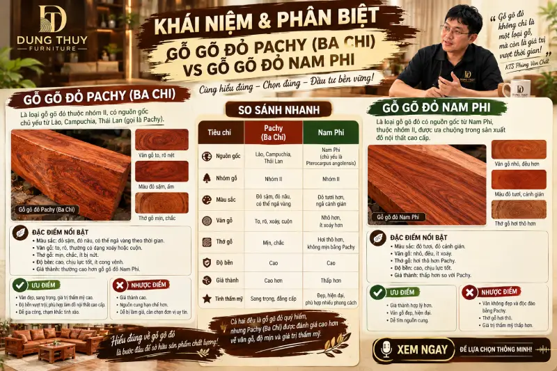 Khái niệm & Phân biệt gỗ gõ đỏ Pachy (Ba Chi) vs gỗ gõ đỏ Nam Phi năm 2027